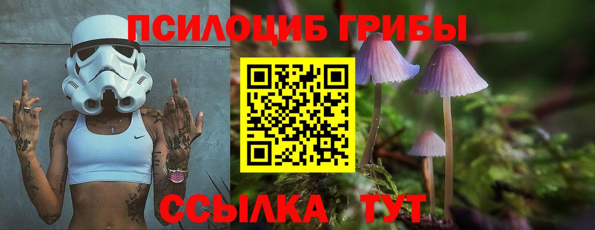 где можно купить наркотик  Вход с VPN  Сарапул  Псилоцибиновые грибы Psilocybine cubensis 