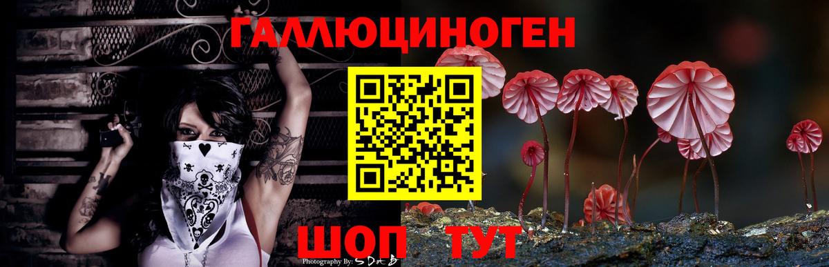 Псилоцибиновые грибы прущие грибы Сарапул