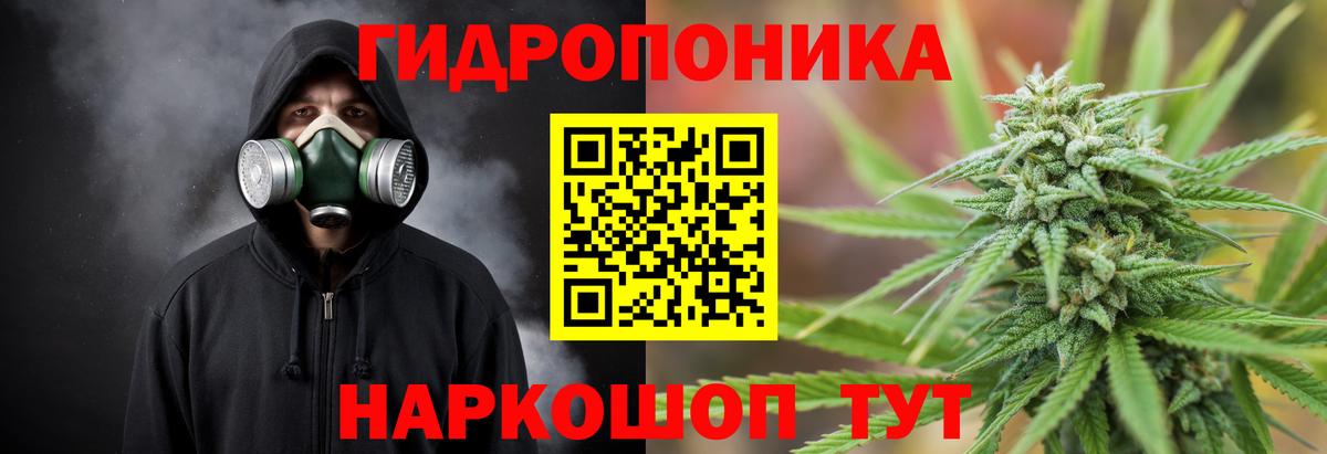 Марихуана Amnesia  Вход с VPN  Каннабис ГИДРОПОН  Сарапул  Марихуана Amnesia  МАРИХУАНА гибрид 